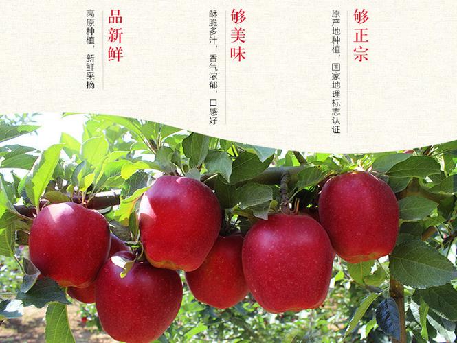 恒发 厂家热销 新鲜水果 苹果 新鲜花牛苹果 花牛 品种齐全