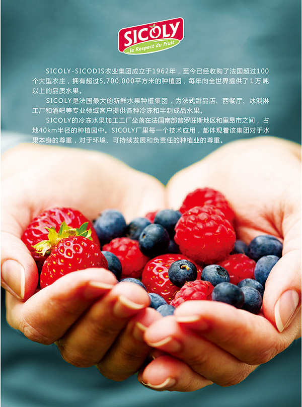 斯歌丽冷冻果茸樱桃 - 产品展示